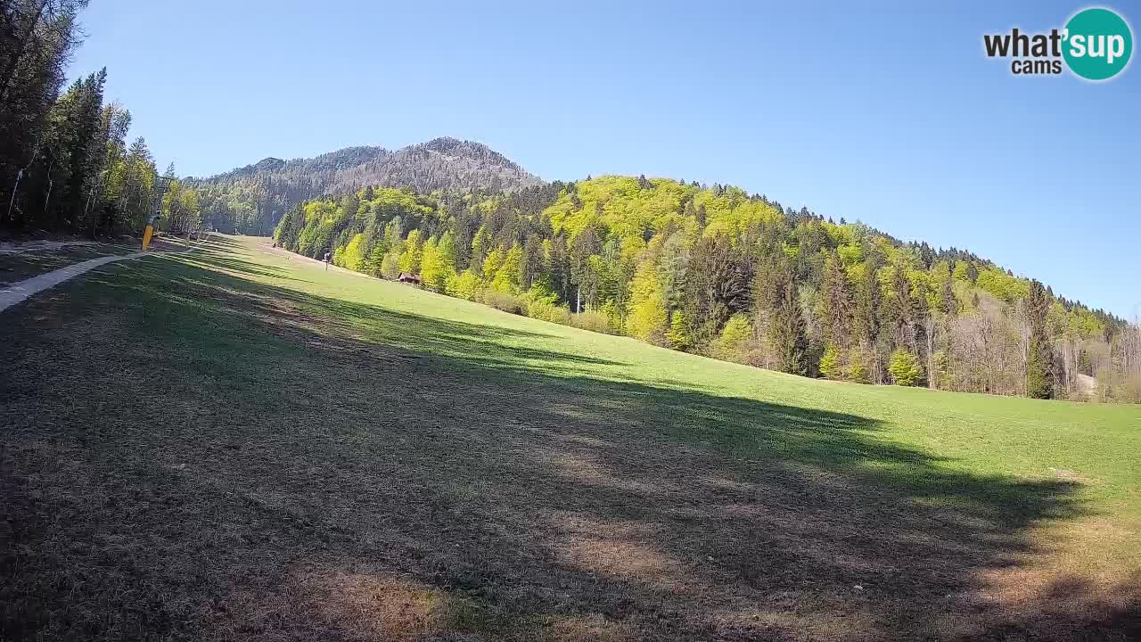 Ski Kranjska Gora | Brsnina