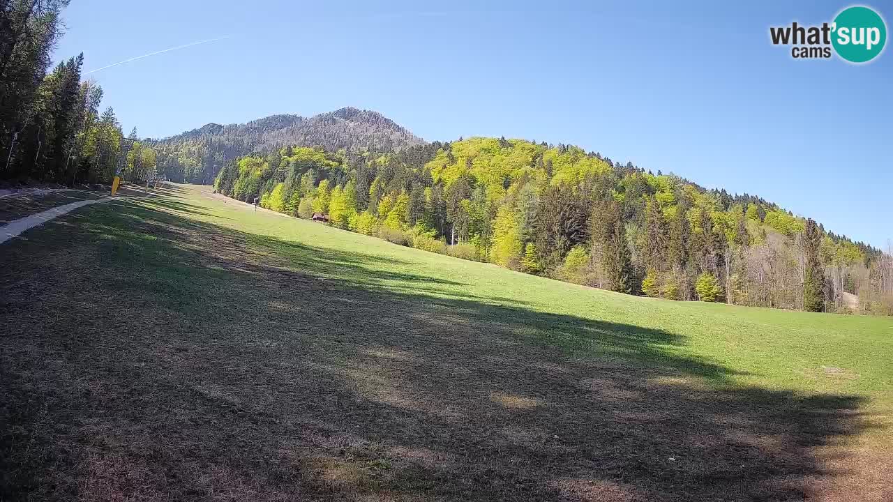 Kranjska Gora Station de ski | Brsnina