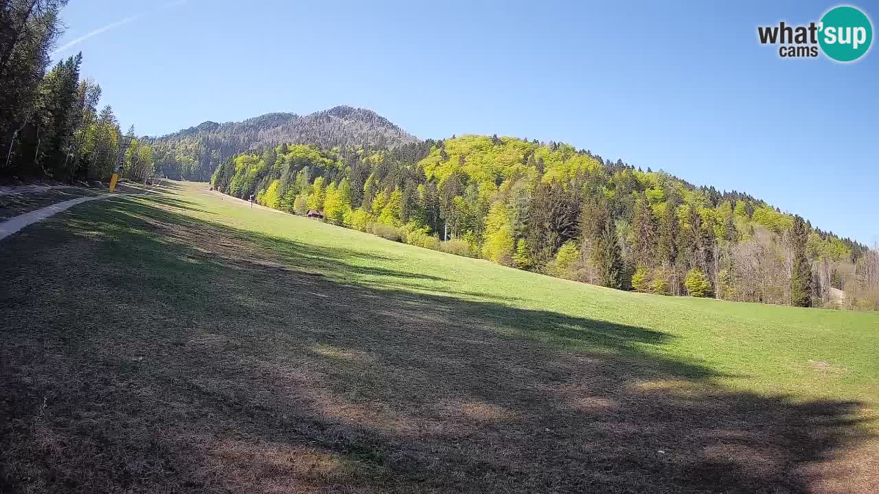 Kranjska Gora Station de ski | Brsnina