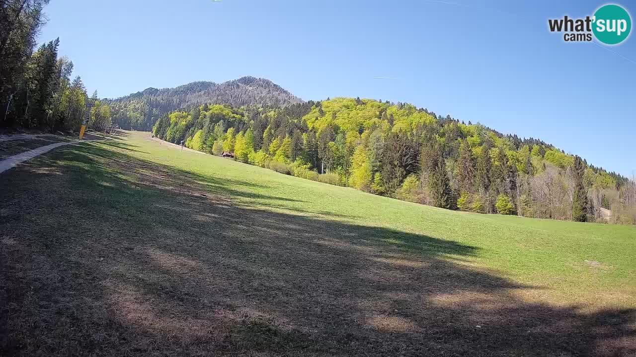 Comprensorio sciistico Kranjska Gora | Brsnina