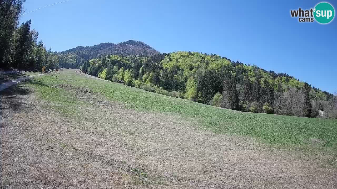 RTC Skigebiet Kranjska Gora | Brsnina