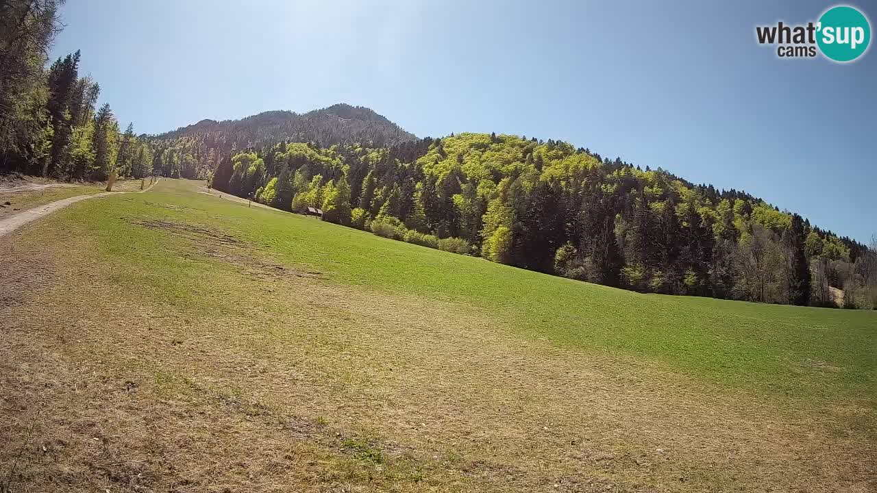 Kranjska Gora SKIJANJE | Brsnina