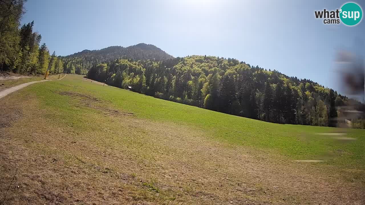 Ski Kranjska Gora | Brsnina