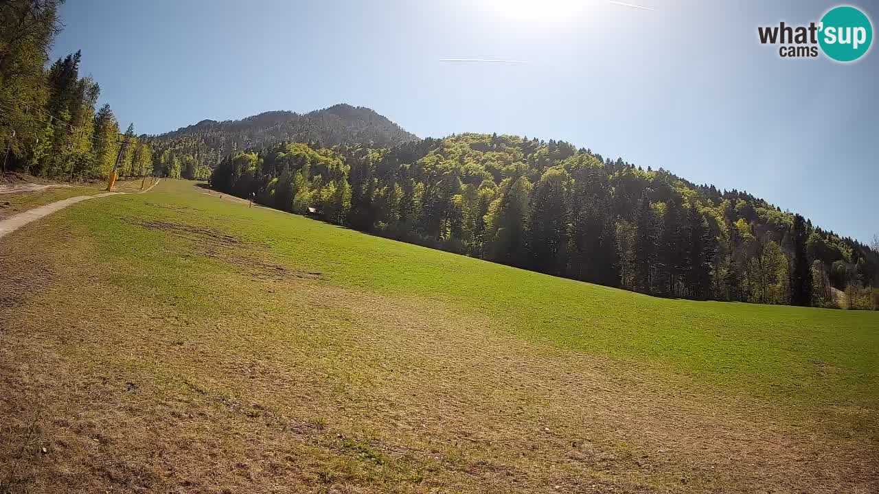 Esquí Kranjska Gora | Brsnina