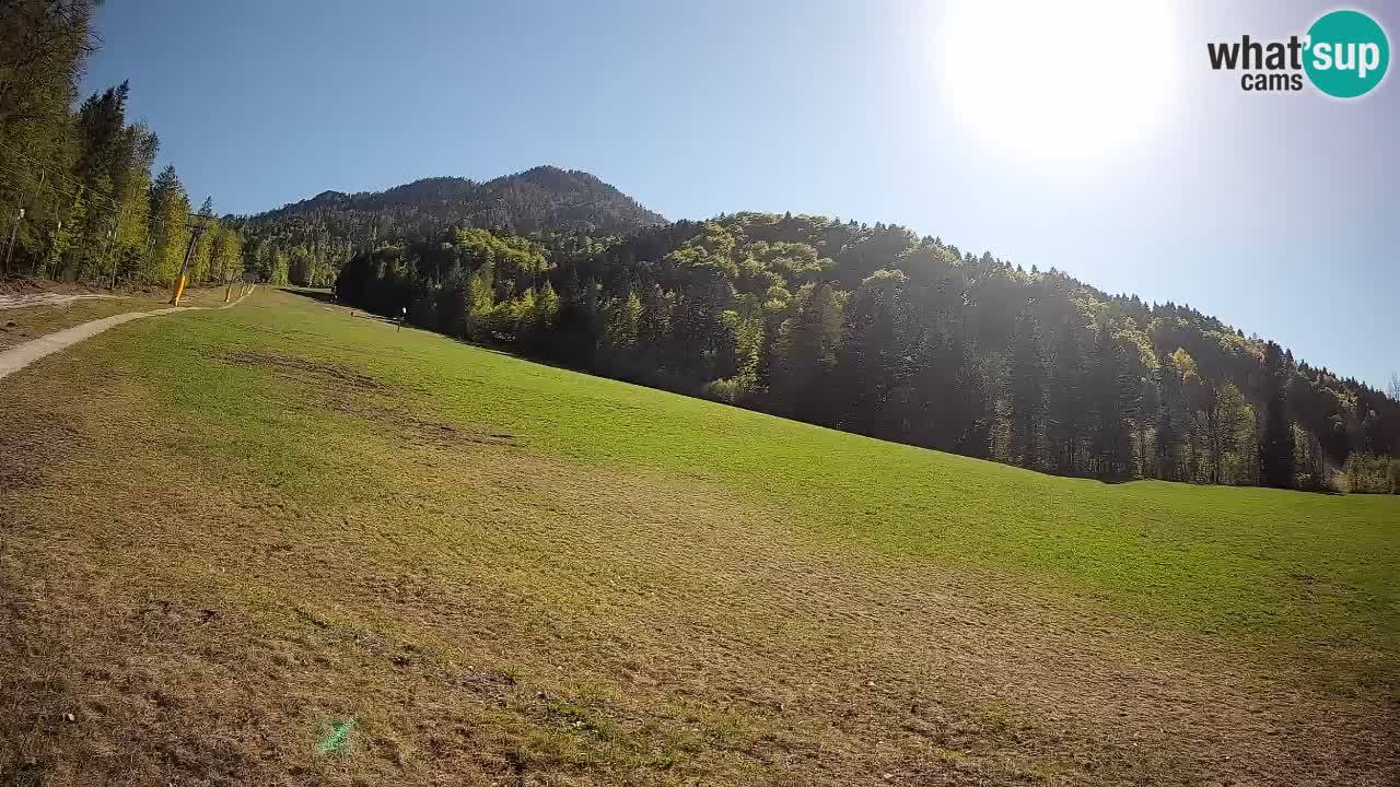 Ski Kranjska Gora | Brsnina