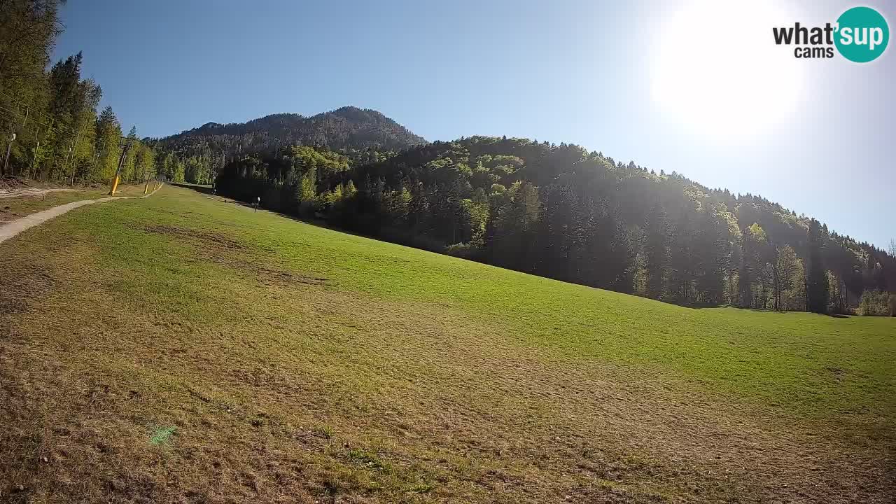 Comprensorio sciistico Kranjska Gora | Brsnina