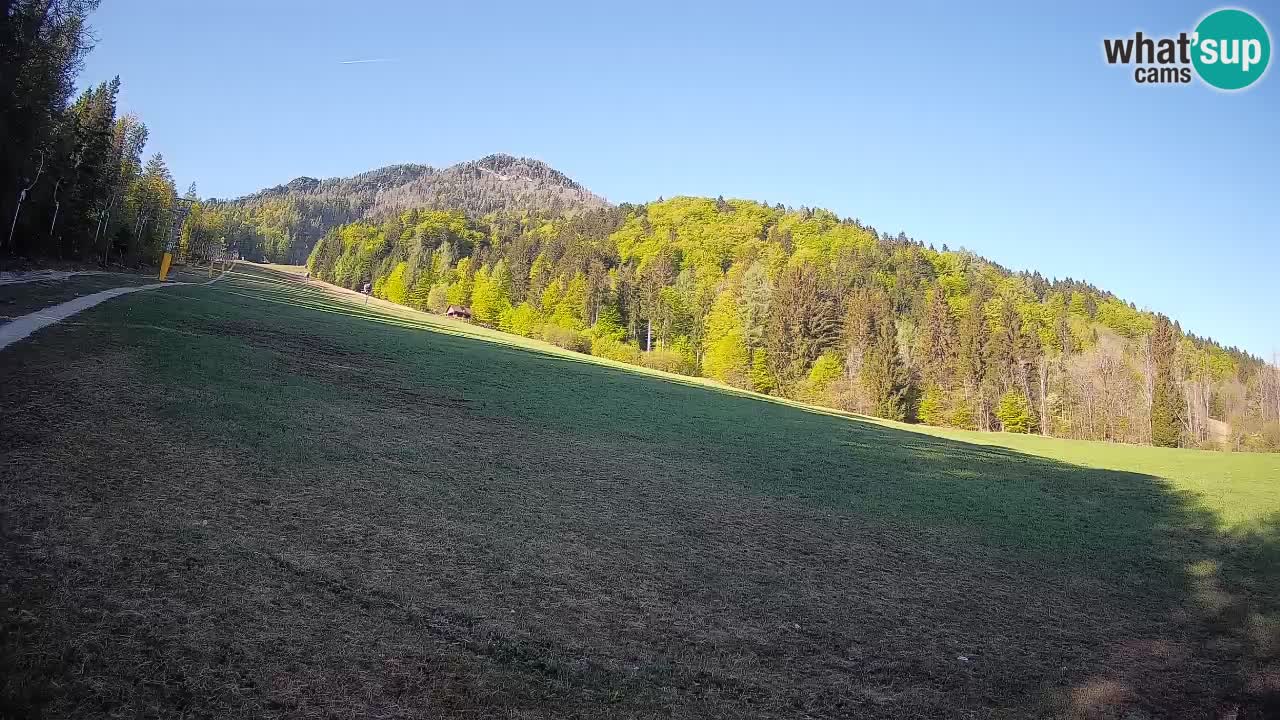 Ski Kranjska Gora | Brsnina