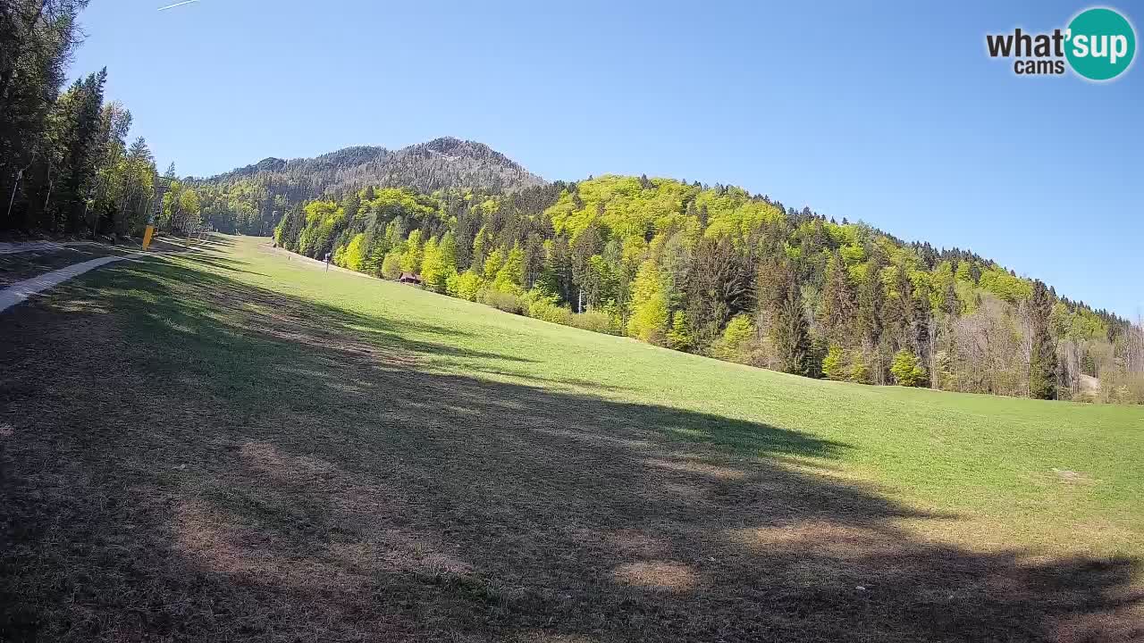 Comprensorio sciistico Kranjska Gora | Brsnina