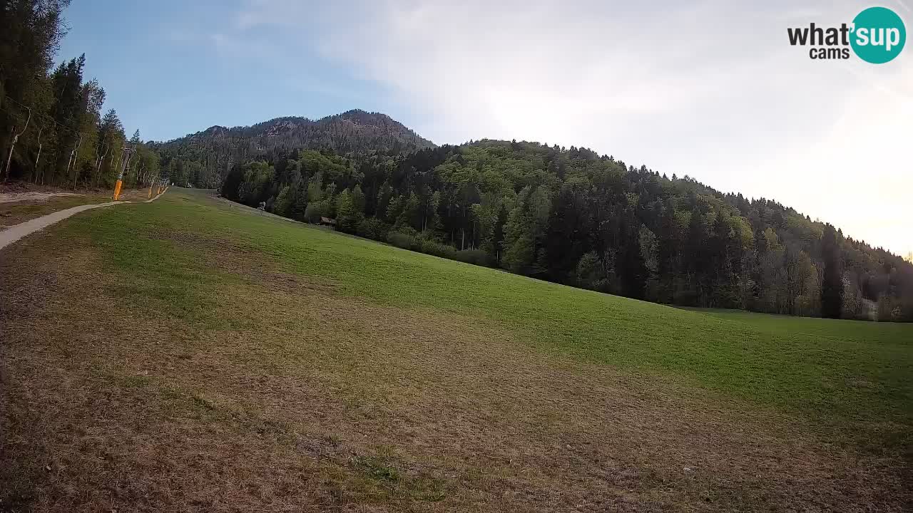 RTC Kranjska Gora | Brsnina