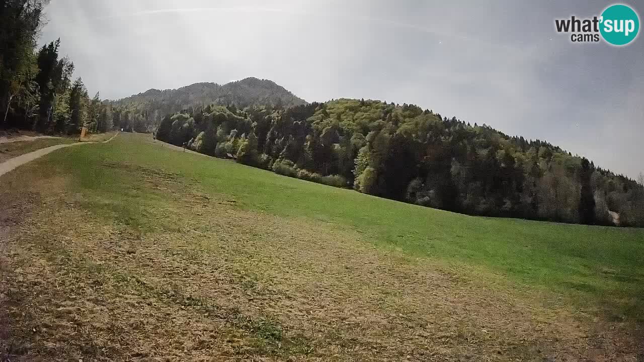 Esquí Kranjska Gora | Brsnina