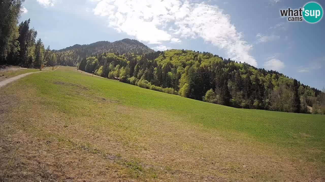 RTC Skigebiet Kranjska Gora | Brsnina