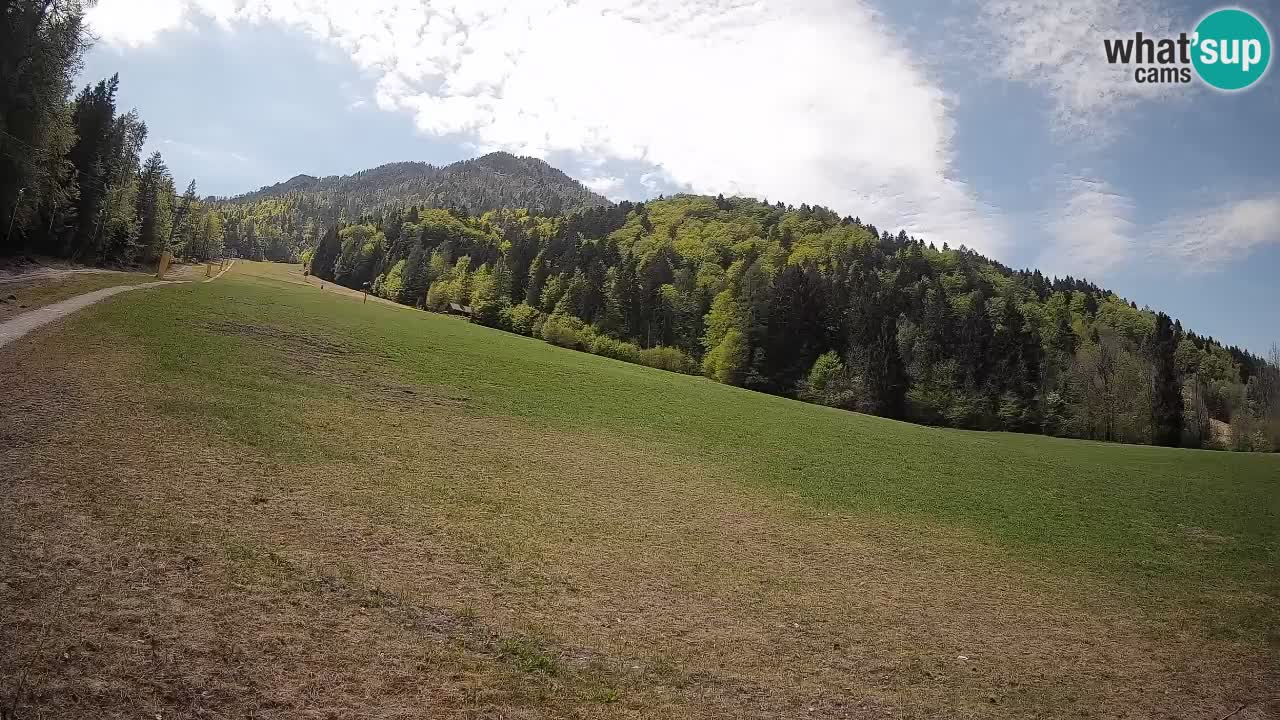 Ski Kranjska Gora | Brsnina