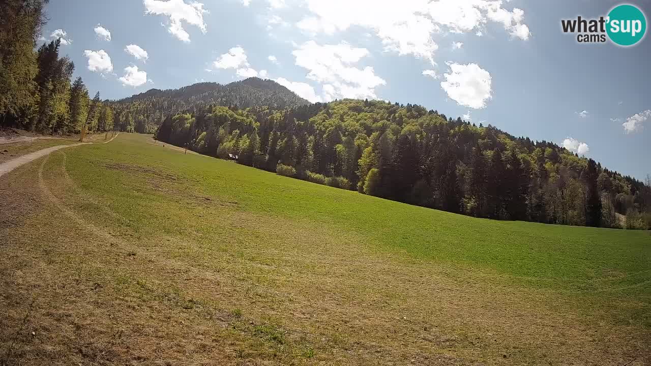 Ski Kranjska Gora | Brsnina