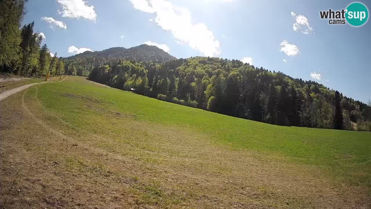 RTC Skigebiet Kranjska Gora | Brsnina