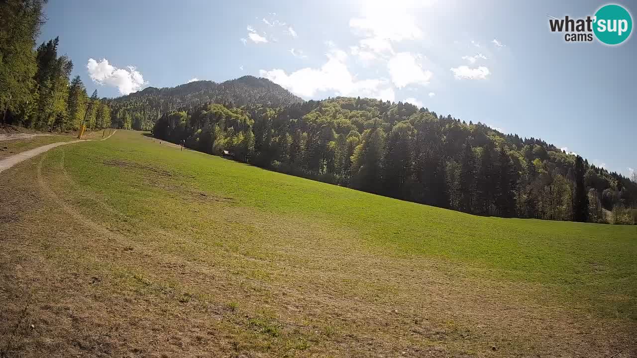 Ski Kranjska Gora | Brsnina