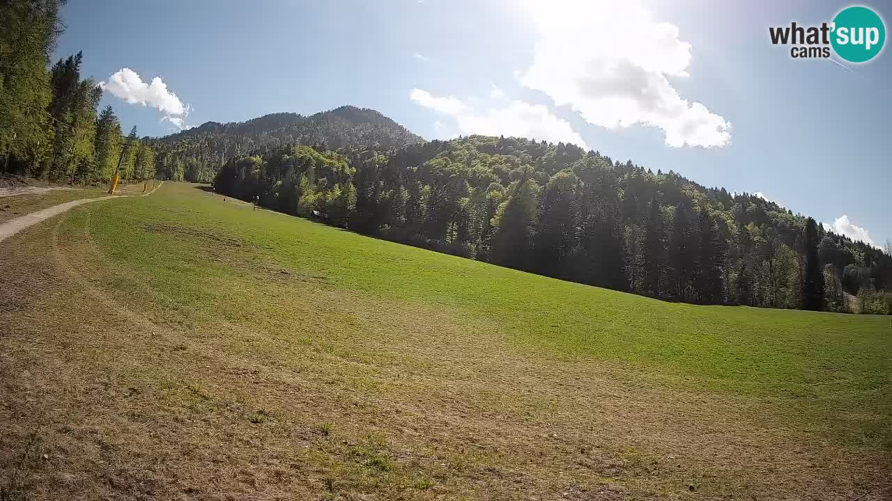 Kranjska Gora SKIJANJE | Brsnina