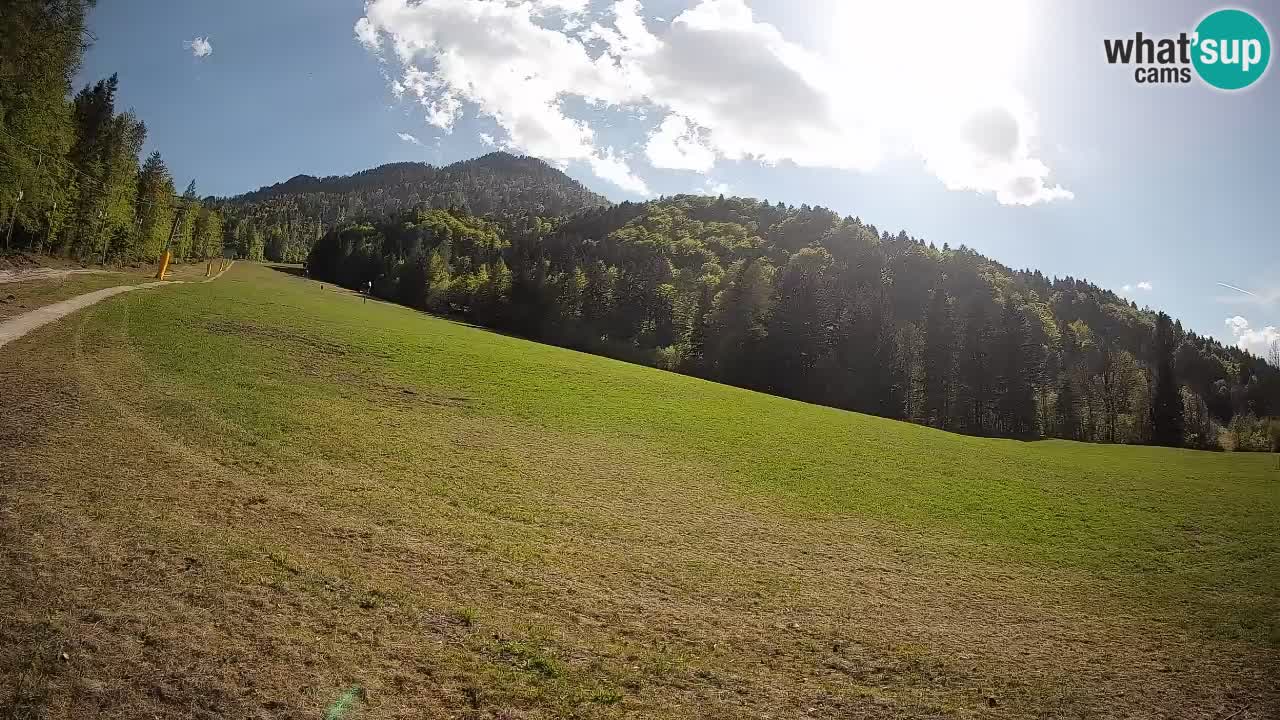 RTC Kranjska Gora | Brsnina