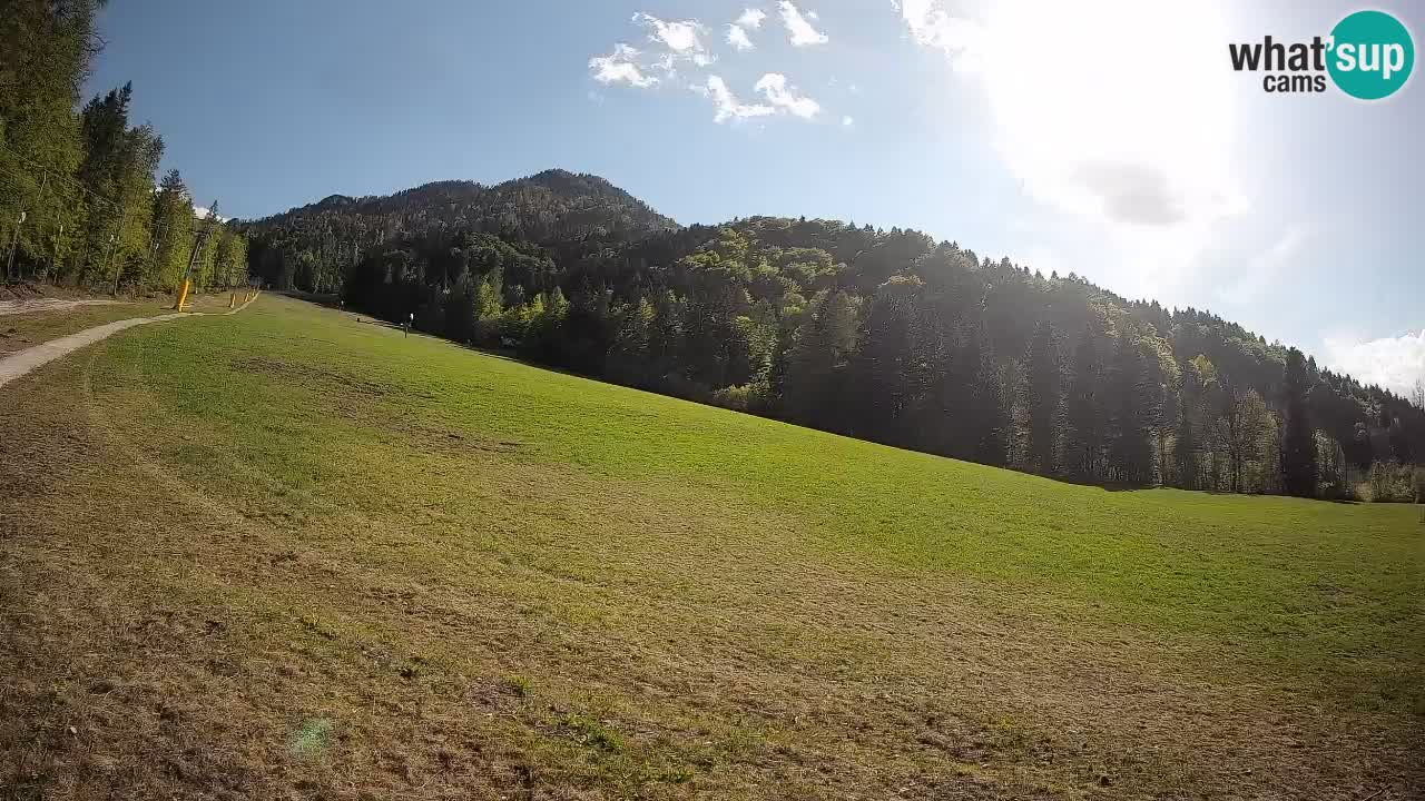 Ski Kranjska Gora | Brsnina