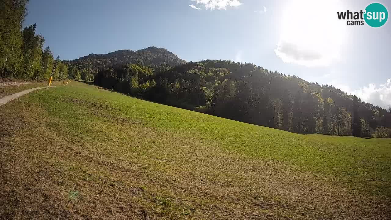 Ski Kranjska Gora | Brsnina