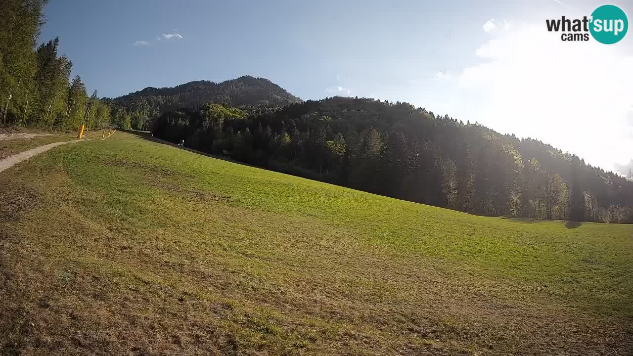 Ski Kranjska Gora | Brsnina