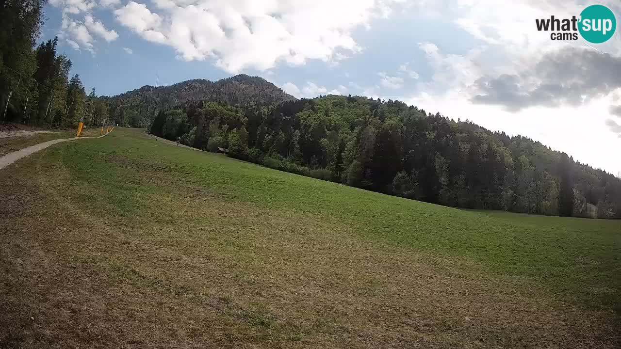 Ski Kranjska Gora | Brsnina
