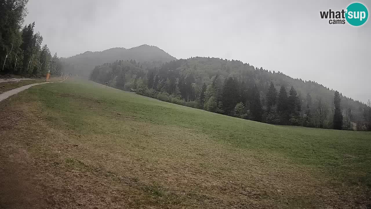 RTC Kranjska Gora | Brsnina