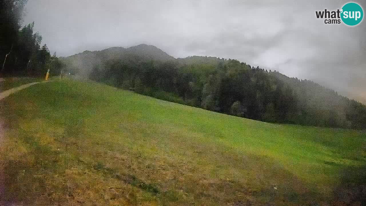 Ski Kranjska Gora | Brsnina