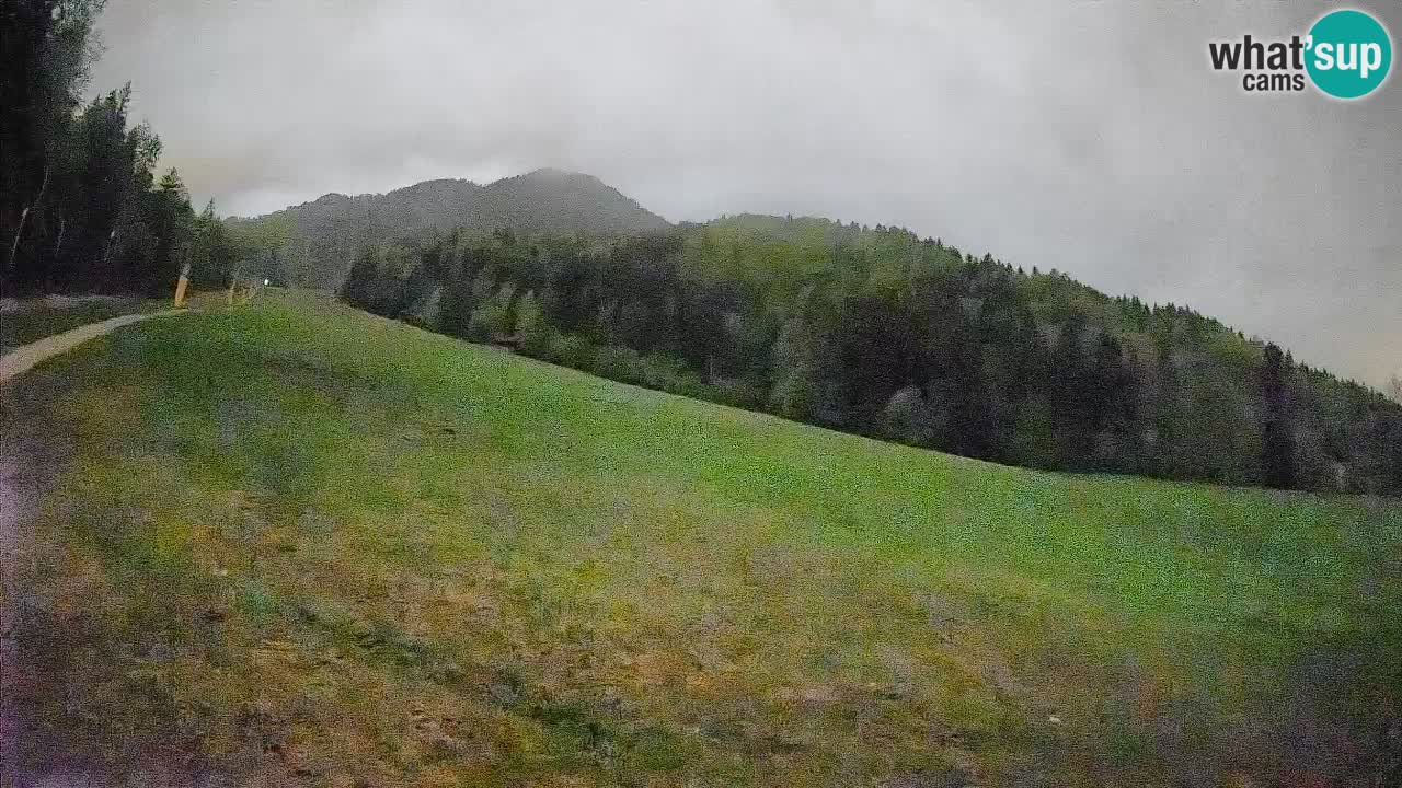 Ski Kranjska Gora | Brsnina