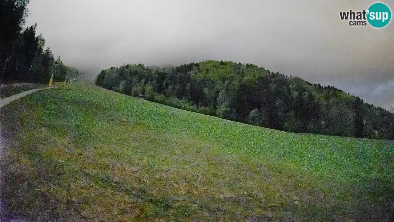 Ski Kranjska Gora | Brsnina