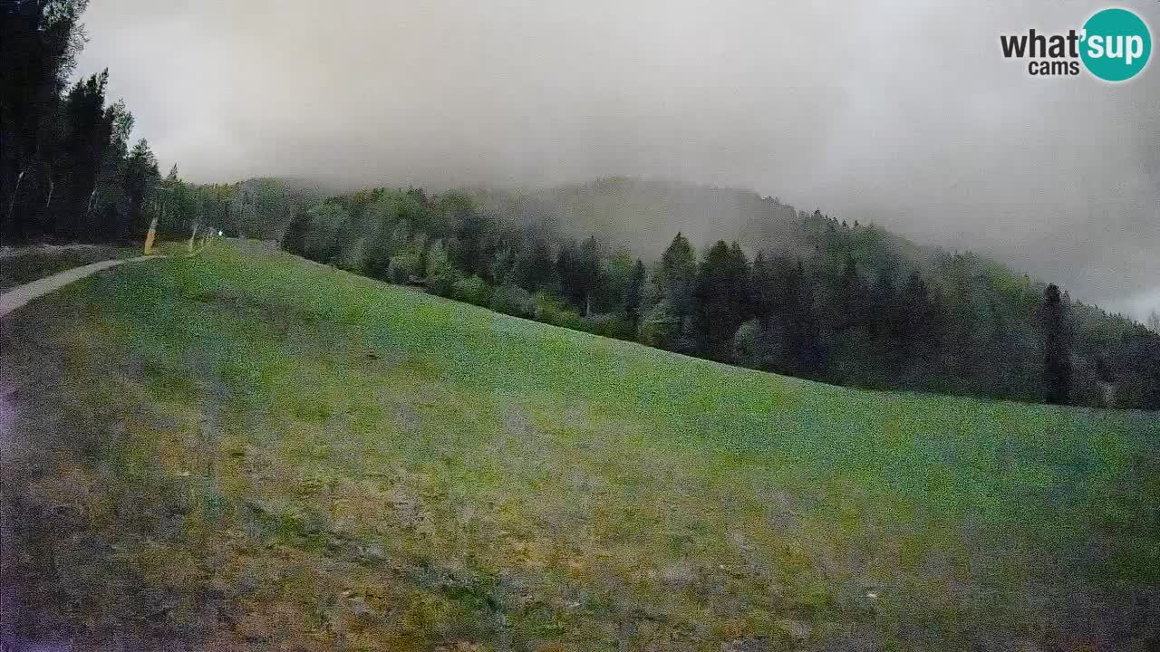 RTC Kranjska Gora | Brsnina