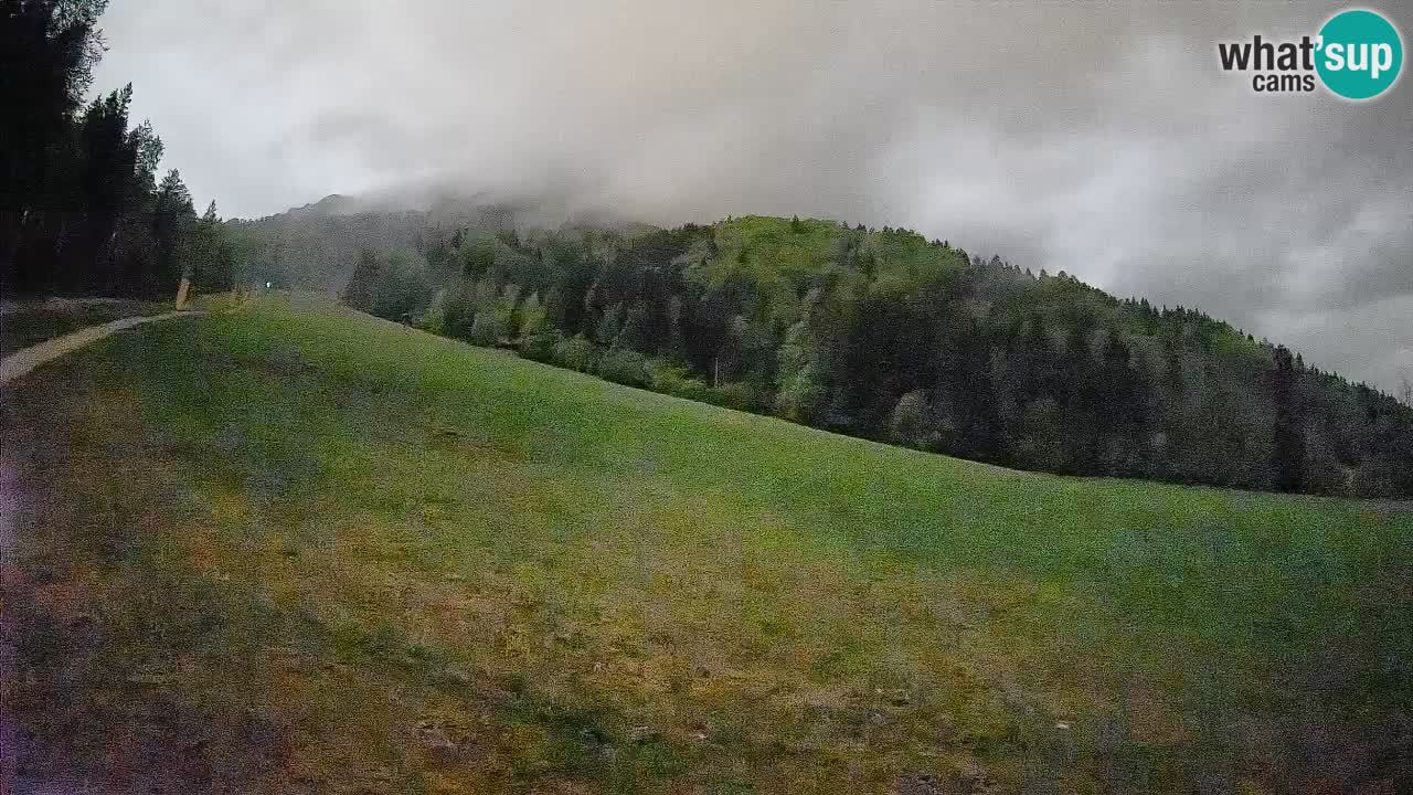 Comprensorio sciistico Kranjska Gora | Brsnina