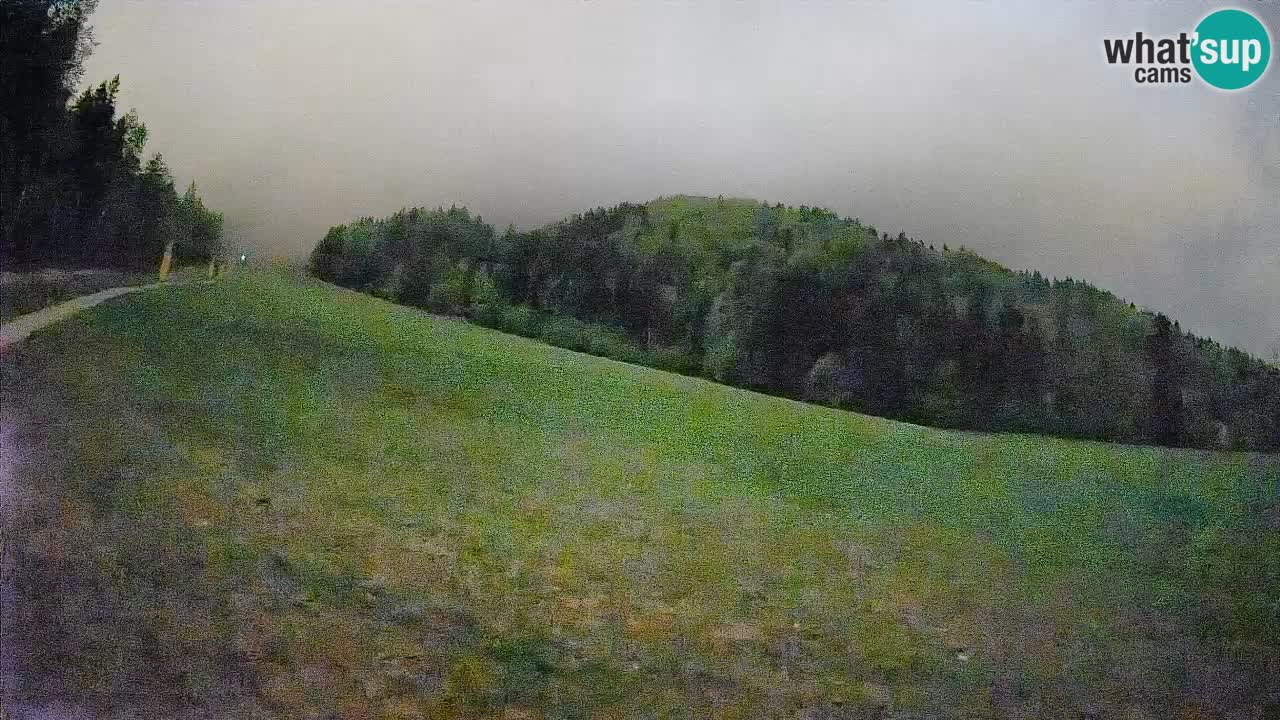 Comprensorio sciistico Kranjska Gora | Brsnina