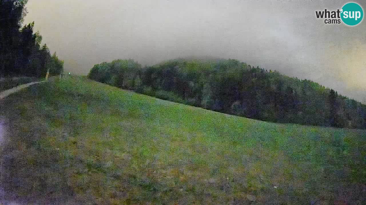 Comprensorio sciistico Kranjska Gora | Brsnina