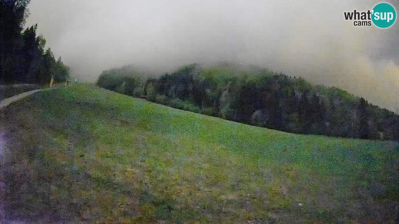 Esquí Kranjska Gora | Brsnina