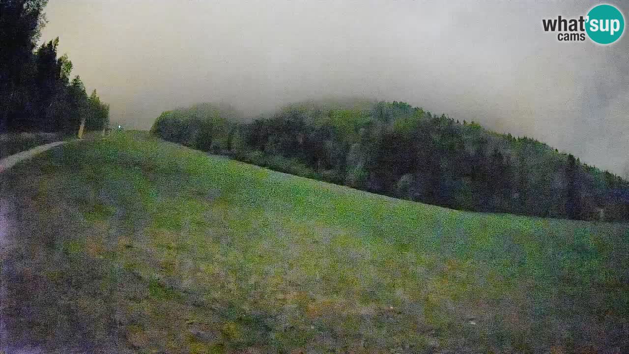 RTC Kranjska Gora | Brsnina