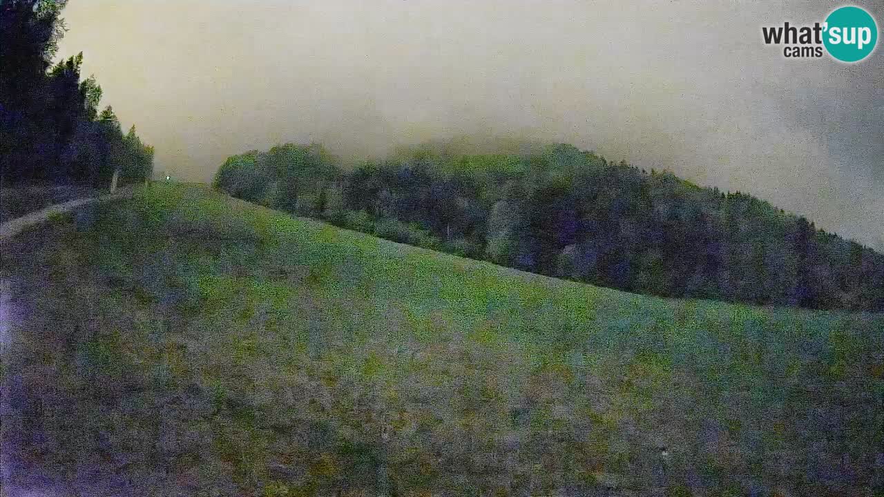 Comprensorio sciistico Kranjska Gora | Brsnina