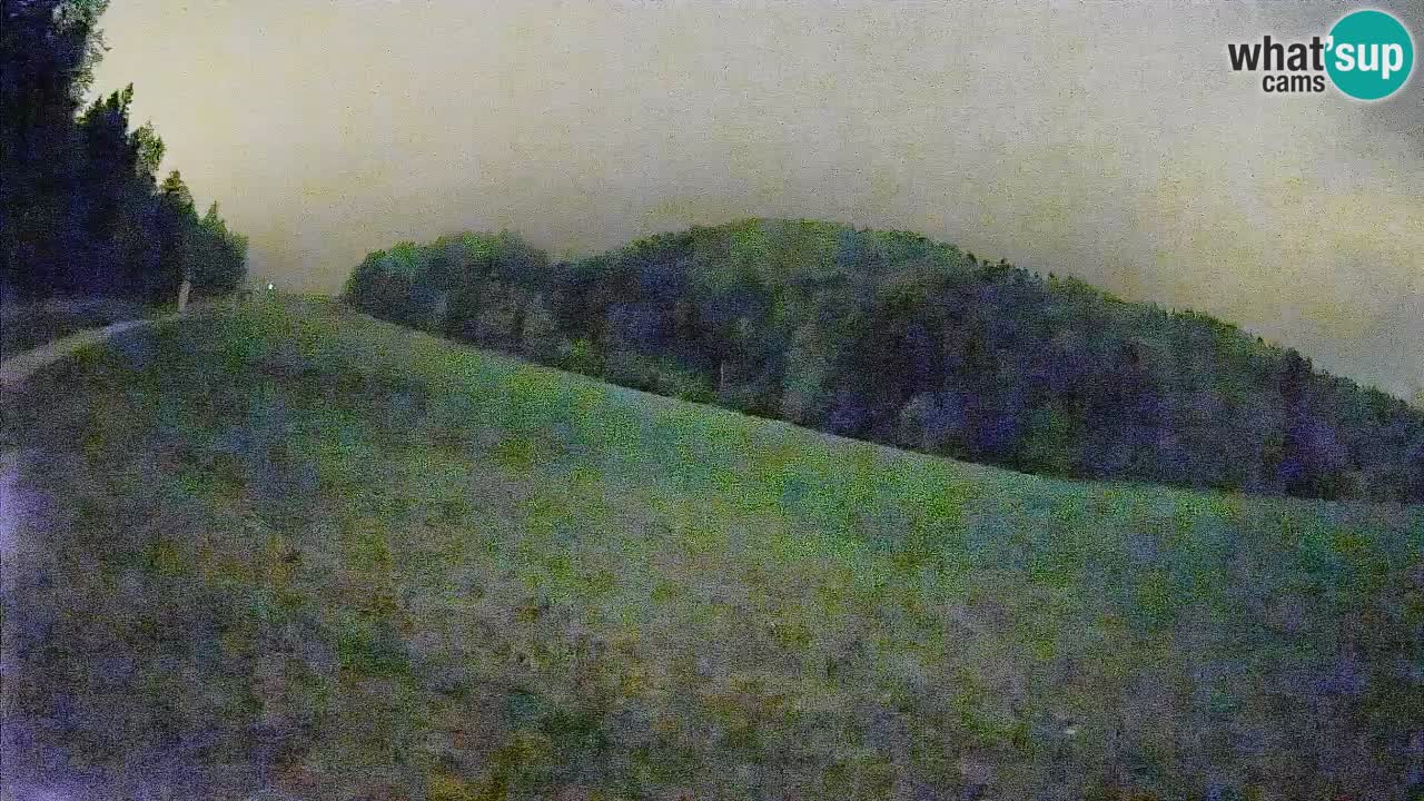 RTC Skigebiet Kranjska Gora | Brsnina