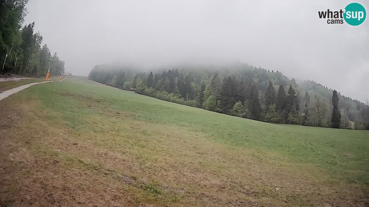 RTC Kranjska Gora | Brsnina