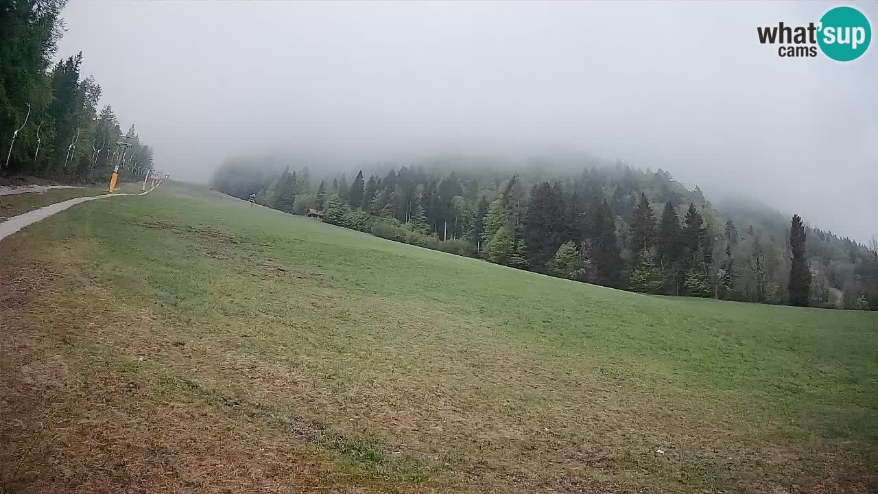 Esquí Kranjska Gora | Brsnina