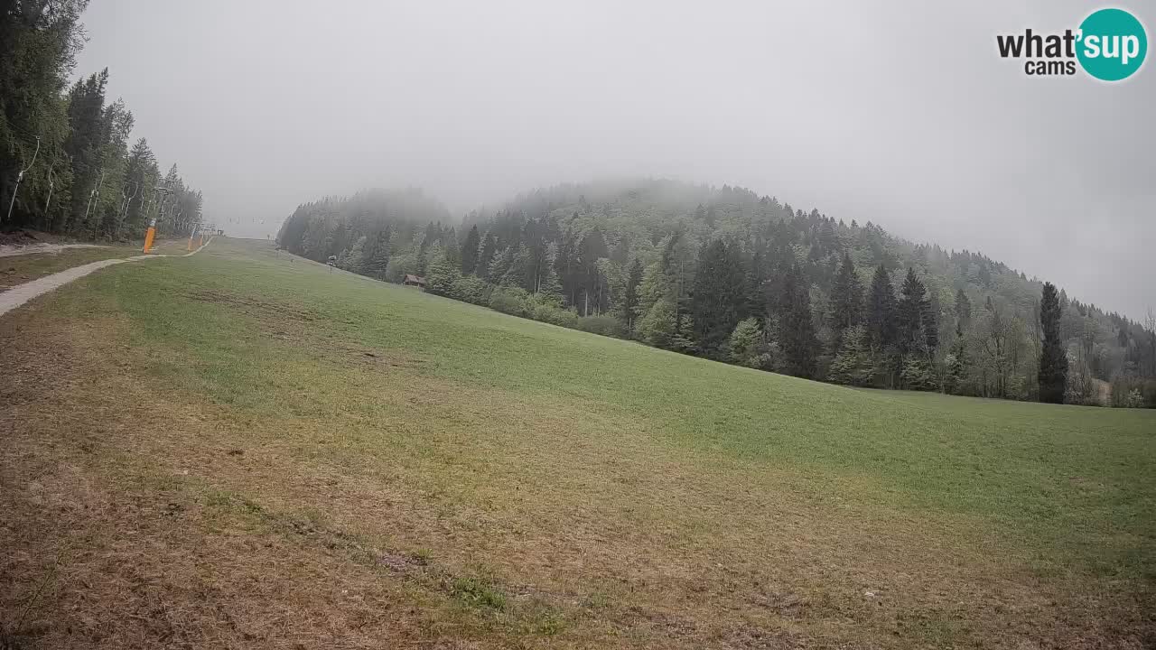 RTC Kranjska Gora | Brsnina