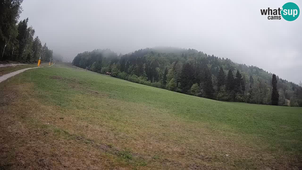 RTC Skigebiet Kranjska Gora | Brsnina