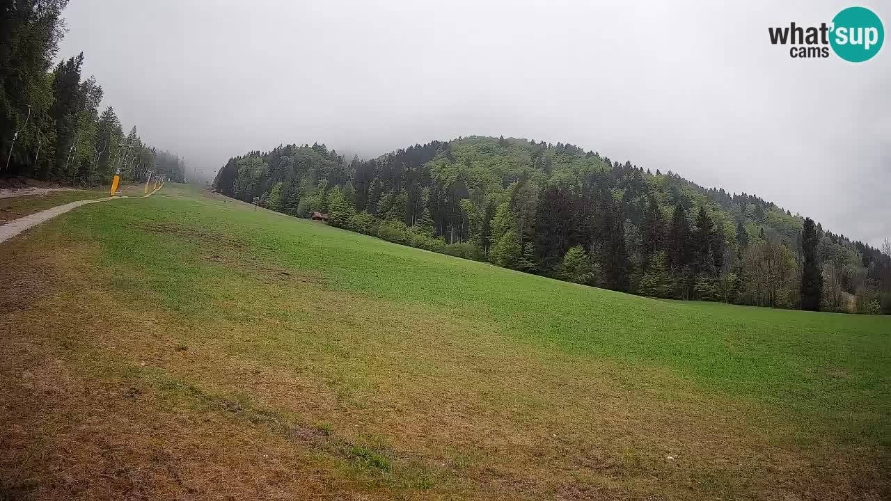 Kranjska Gora Station de ski | Brsnina