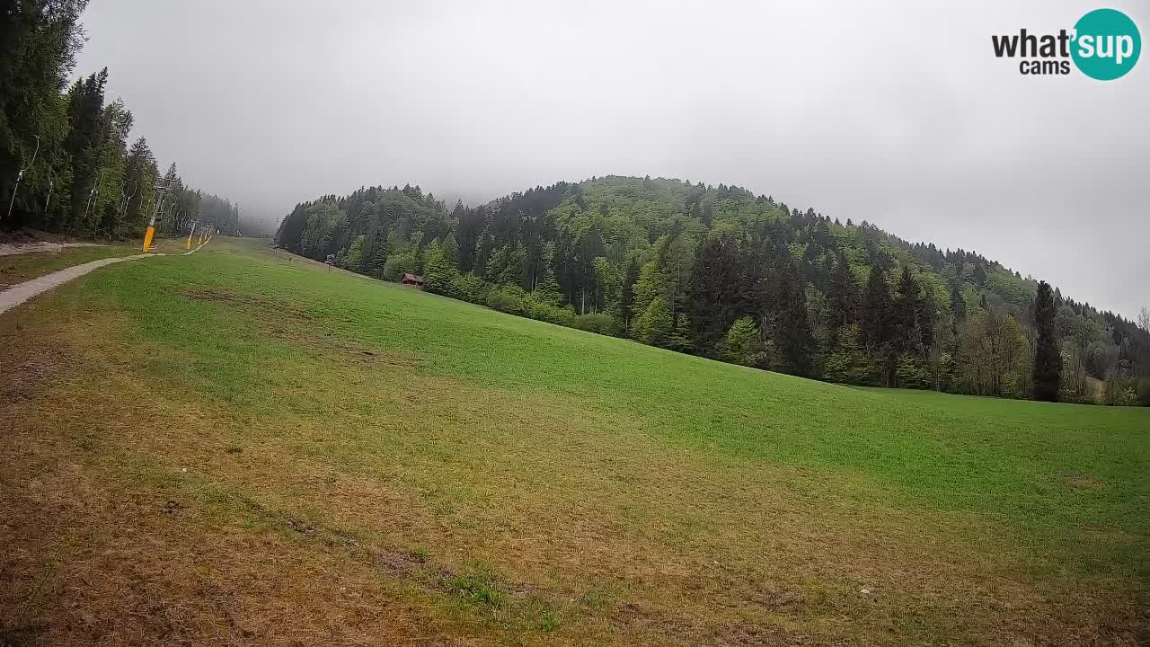 RTC Skigebiet Kranjska Gora | Brsnina