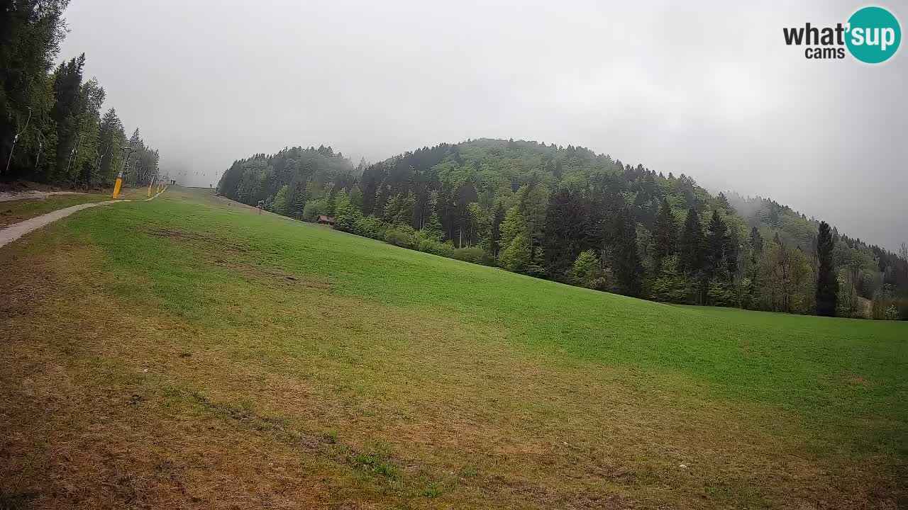 RTC Skigebiet Kranjska Gora | Brsnina