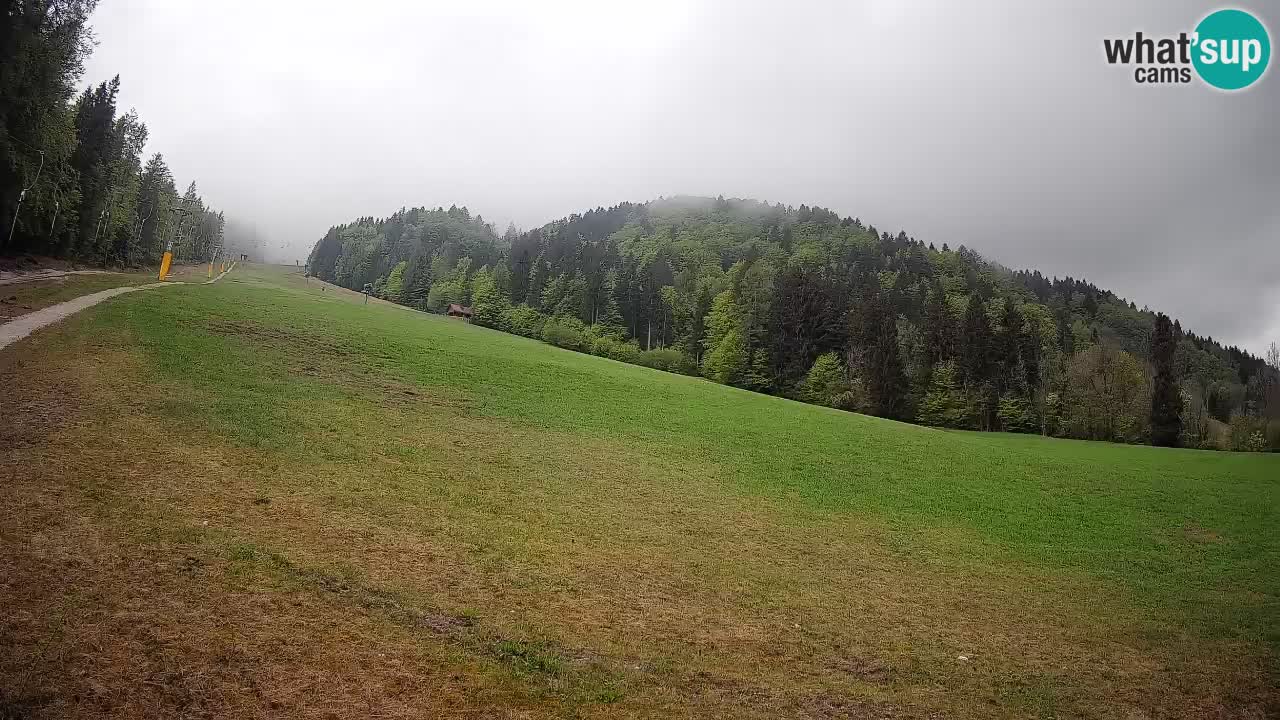 RTC Kranjska Gora | Brsnina