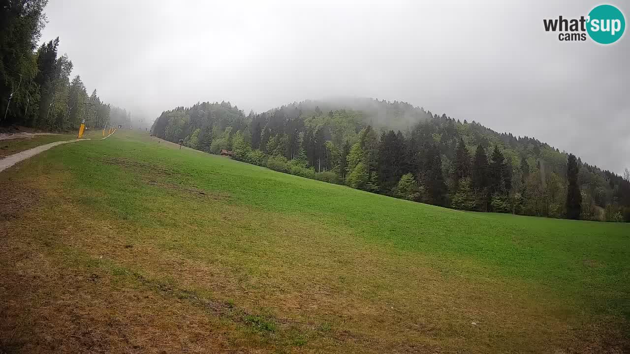 Kranjska Gora Station de ski | Brsnina