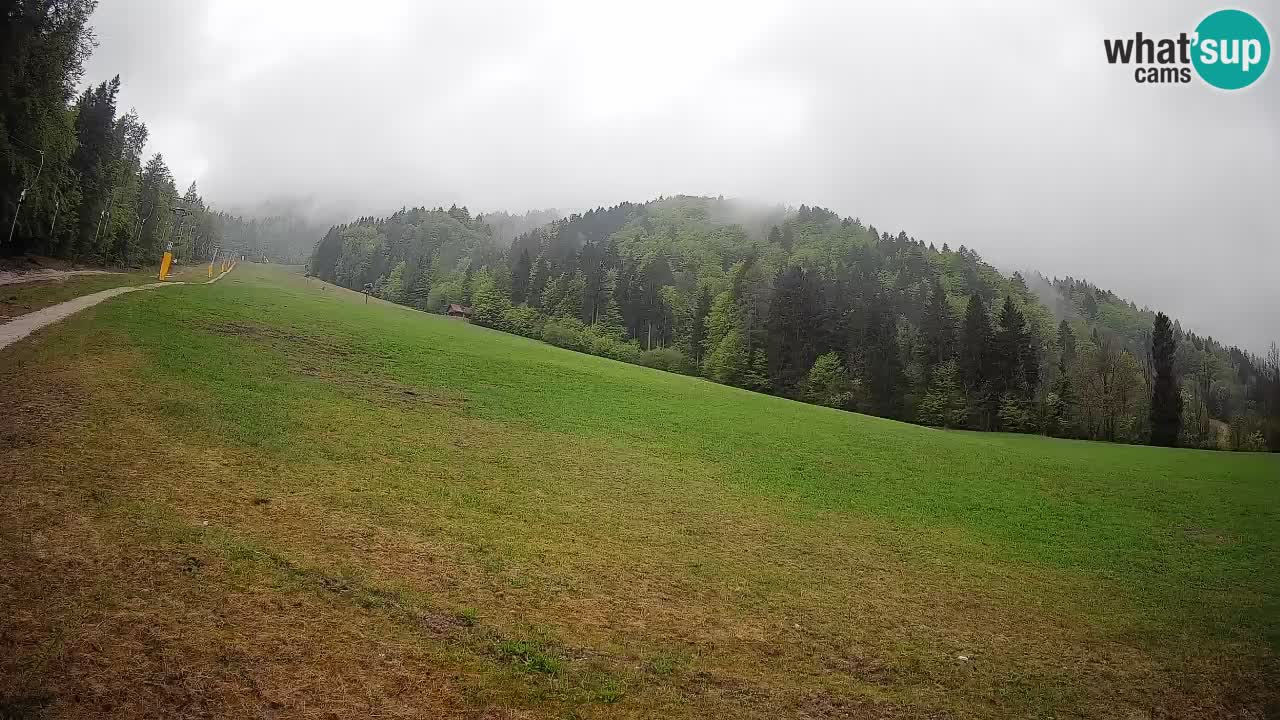 Kranjska Gora Station de ski | Brsnina