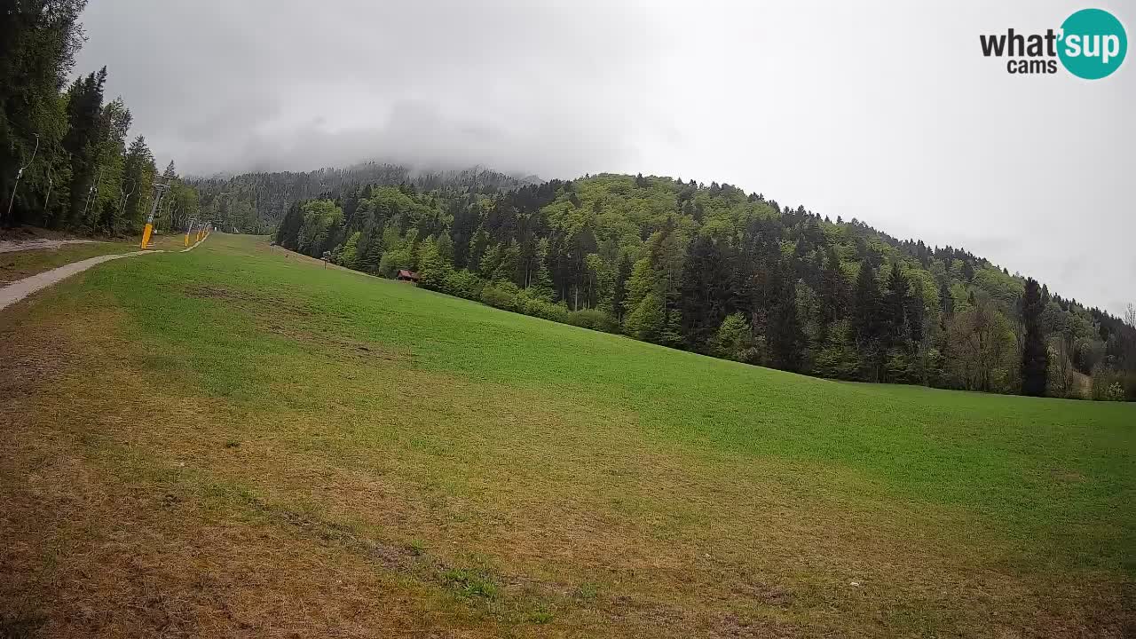 Kranjska Gora Station de ski | Brsnina
