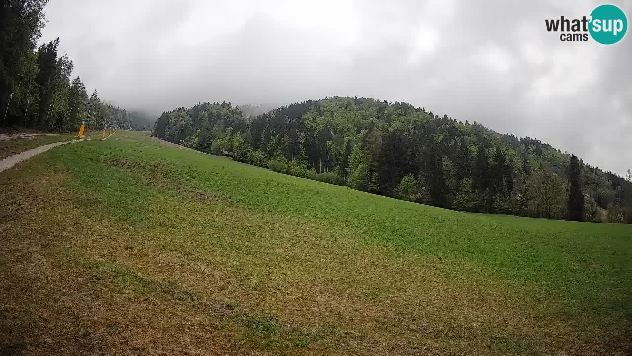 Ski Kranjska Gora | Brsnina