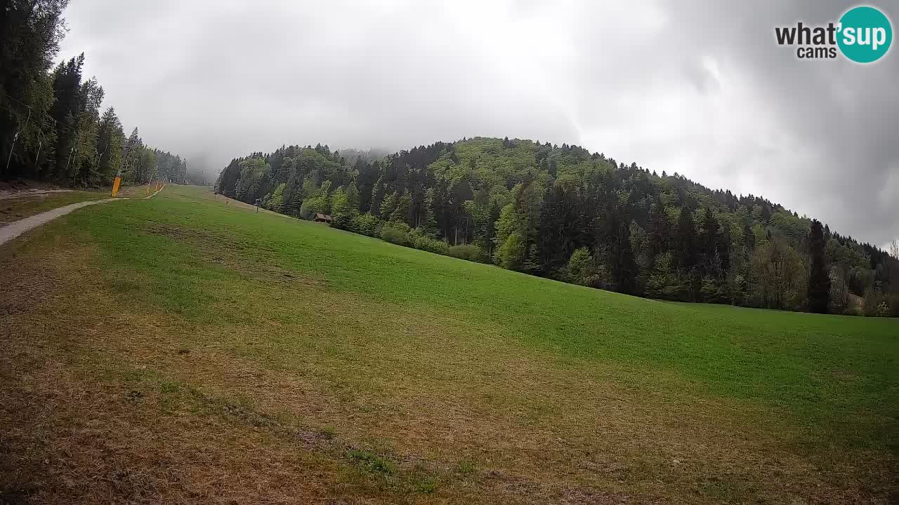 Ski Kranjska Gora | Brsnina